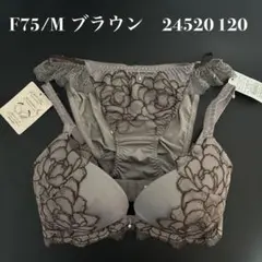 ブラウン　F75/M ナルエー　ブラショーツセット　24520 120のサムネイル