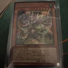 遊戯王】エルフェンノーツ フォルトナ シークレットレア - メルカリ