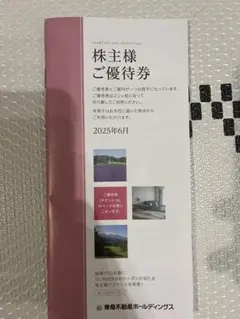東急不動産ホールディングス　株主優待5,000株以上