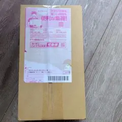 【新品未開封】ポケモンセンタースペシャルBOXヒロシマ ポケモンカード