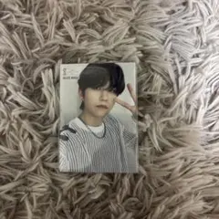 Mrs. GREEN APPLE 若井滉斗 フォトカ レア 048