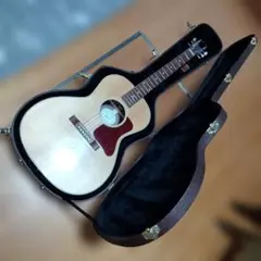 2026年最新】gibson L-00の人気アイテム - メルカリ