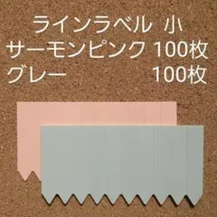 ばぁばの多肉様 リクエスト 2点 まとめ商品