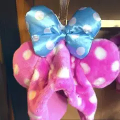 ディズニー　ミニー　ファンダーランド　ファンキャップ　パルパルーザ