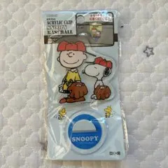 【8490】スヌーピー アクリルクリップ　新品