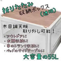 Item thumbnail for item 24bc516d-6ec8-426f-8dc8-9a6d6c0c1158