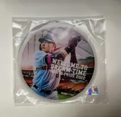 Item thumbnail for item b6d6d1e9-c9a7-4134-885d-d537b507ce25