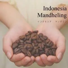 【農薬：栽培期間中不使用＊湯洗い】インドネシア　マンデリン　２００ｇのサムネイル