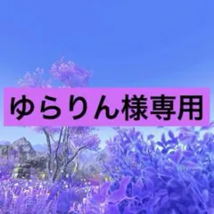 ゆらりん様専用