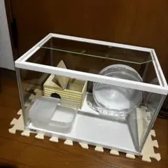 GEX 小動物用ガラスケージ ハウス 回し車 給水器セット