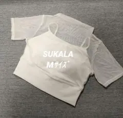 Item thumbnail for item bddf7528-ed1e-4614-ae0d-a6951221c2f3