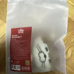 BOYNEXTDOOR プネクド キーリング ぬいぐるみ リウ ダーリン