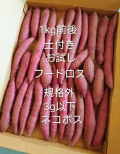 農家直送 さつまいも 土付き 規格外 フードロス お試しのサムネイル