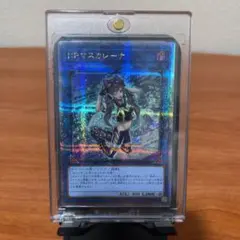 ARS10 マスカレーナ 25th アーコレ 美品 2026年最新】マスカレーナ 25th psa10の人気アイテム - メルカリ