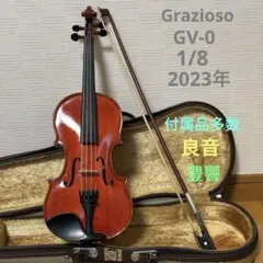 2026年最新】grazio バイオリンの人気アイテム - メルカリ