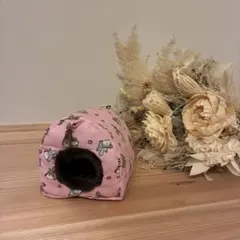 Item thumbnail for item 762abaa1-6832-4a57-b622-ce8250c201b2