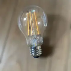 エジソンバルブ LED スマート DST-E26AC