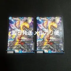 2026年最新】飛翔龍 5000vtの人気アイテム - メルカリ