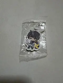 新品⭐︎ハイキューめじるしチャーム