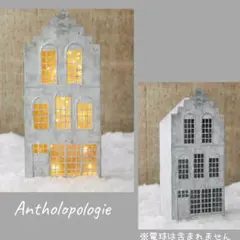 Antholopologie ミニチュアハウス　 アイアン製