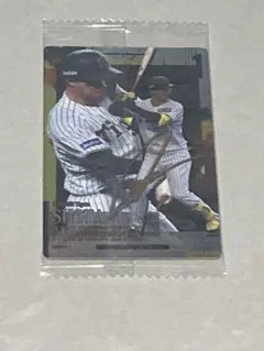 ゴリラゴリラ様 リクエスト 2点 まとめ商品