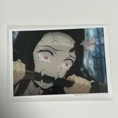 鬼滅の刃 立志編 ufotable 場面写ブロマイドくじ 竈門禰豆子