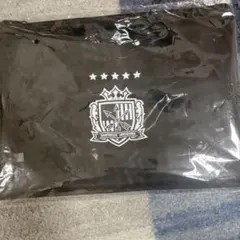 サンフレッチェ広島　ユニフォーム購入特典　限定ポーチ