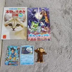 Item thumbnail for item 36a73d46-b672-4335-a428-e628da9d12ce