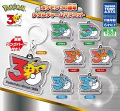 ポケモン 30周年 メタルチャームマスコット①　ゼニガメ・カメックス