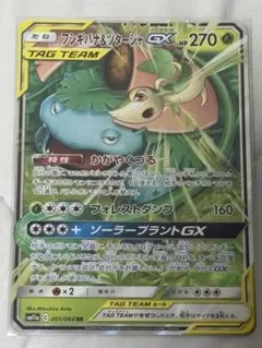 フシギバナ&ツタージャGX RR サン&ムーン 強化拡張パック