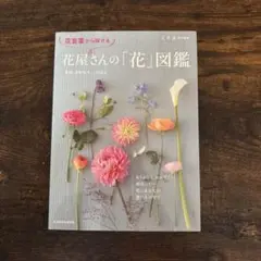 花言葉から探せる 花屋さんの「花」図鑑