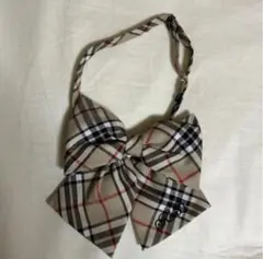 Item thumbnail for item f4f8bafb-78ec-4932-94fc-23144959238d