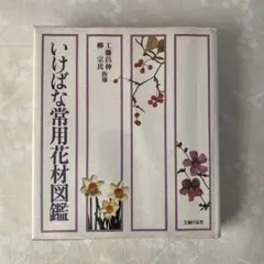 Item thumbnail for item 70cabecc-0c6e-4366-887c-6df3152e03f8