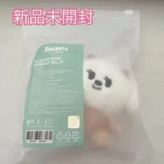 TXT トゥバ 韓国 ポップアップ ぬいぐるみ キーリング スビン - メルカリ