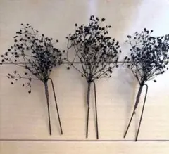 Item thumbnail for item 5853592c-e1c1-45b8-b35d-7ffa1094ab88