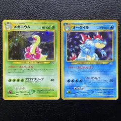 zenmain様 リクエスト 2点 まとめ商品