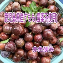 2026年最新】鹿児島産すももの人気アイテム - メルカリ