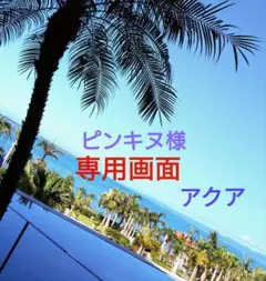 ⬛ピンキヌ様専用画面です!宅配ビニール袋