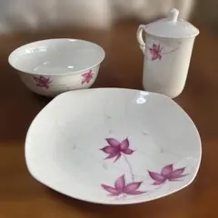 Item thumbnail for item 68a3c695-f7db-4014-a137-eb96b329b9f8