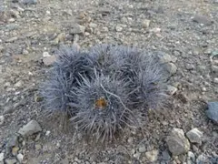 Yu-様 リクエスト 5点 まとめ商品