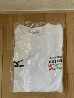 Item thumbnail for item ffadb6ca-f2a0-45e6-a75f-26d57eb22b34