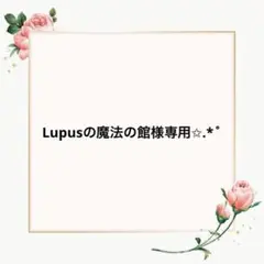 Lupusの魔法の館　プロフ必読様 リクエスト 3点 まとめ商品