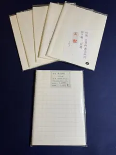 【墨研】因州和紙◆純手漉一番本草箋 全紙◆残95枚◆漢字向 画仙紙 古紙 書道紙 墨研】因州和紙◇純手漉一番本草箋 全紙◇残