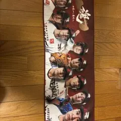 Item thumbnail for item 5818a9c3-6c95-49f1-a830-23f4b1420cee