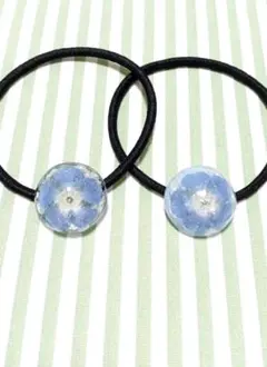 Item thumbnail for item 0b10355b-c72a-4299-b351-e12916439da1