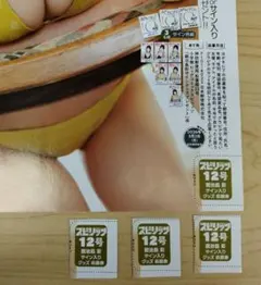 フラミニ様 リクエスト 2点 まとめ商品