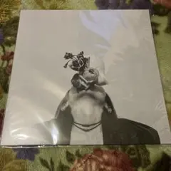 2026年最新】SUBLIM レコードの人気アイテム - メルカリ