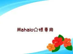 Mahalo☆様 リクエスト 2点 まとめ商品