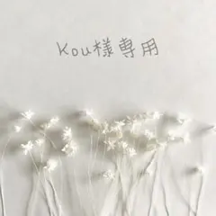 ❁﻿ Kou様専用ページ❁﻿