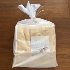 Item thumbnail for item 8f05b0da-a146-4fdb-8ffa-1128f12ef1a6